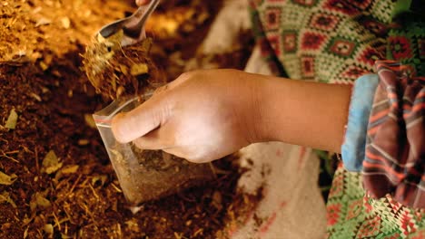 Mujer-India-Haciendo-Embalaje-De-Ingredientes-Naturales,-Materia-Prima-De-Joss-Stick-Con-El-Fabricante-Orgánico-En-India