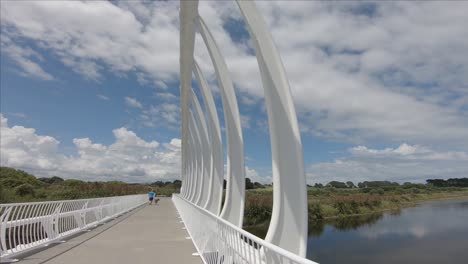 Un-Hombre-Caminando-Con-Su-Perro-En-El-Puente-Te-Rewa-Rewa