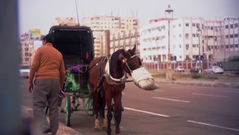 Pferd-Und-Buggy,-Alexandria-Corniche,-Alexandria-Bibliothek,-Meer,-Hantoor,-ägypten