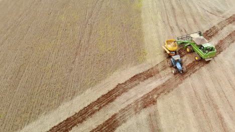 Tractor-Agrícola-Cosechando-Soja-En-El-Campo