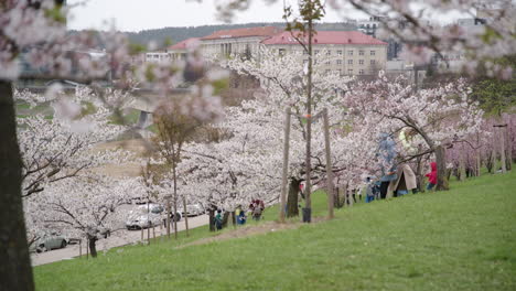 Panorama-Von-Vilnius-Aus-Dem-Sakura-Park-Von-Vilnius-Mit-Menschen,-Die-Fotos-Machen