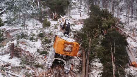 Die-Drohne-Senkt-Sich-Langsam-Und-Zeigt-Die-Nahaufnahme-Einer-Industriellen-Holzfällermaschine,-Die-Durch-Den-Wald-Kriecht,-In-Der-Nähe-Von-Gefällten-Bäumen