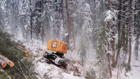 Manipulador-De-Sierra-épica-Máquina-Maderera-Cortando-Y-Colocando-Grandes-Pinos-En-Montones-Cercanos,-La-Nieve-Cae-De-Los-árboles-Con-Un-Efecto-Dramático