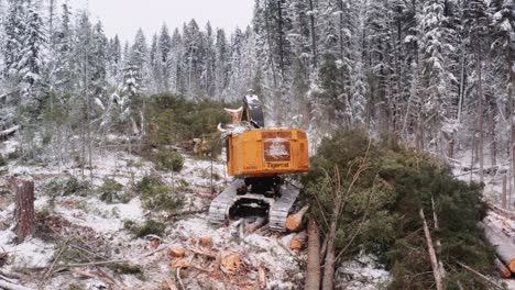 Die-Drohne-Zeigt-Die-Nahaufnahme-Einer-Industriellen-Holzfällermaschine,-Die-Durch-Den-Wald-Kriecht,-In-Der-Nähe-Von-Gefällten-Bäumen