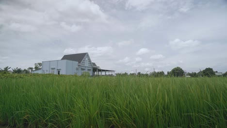 Una-Casa-Cerca-De-Campos-De-Arroz-Con-Un-Cielo-Nublado