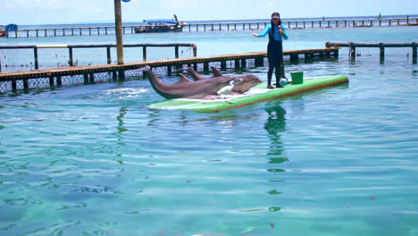 Allgemeine-Aufnahme-Eines-Delfintrainers,-Der-Touristen-In-Einer-Delfinshow-In-Einem-Ozeanarium-In-Cartagena,-Kolumbien,-Unterhält