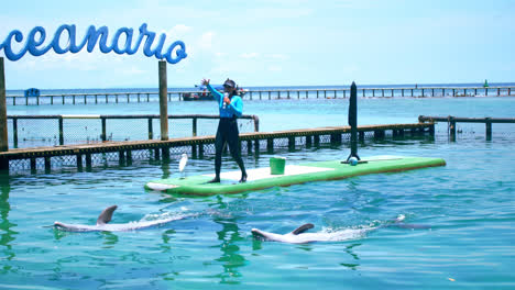 Toma-General-De-Un-Entrenador-De-Delfines-Entreteniendo-A-Los-Turistas-En-Un-Espectáculo-De-Delfines-En-Un-Oceanario-En-Cartagena-Colombia