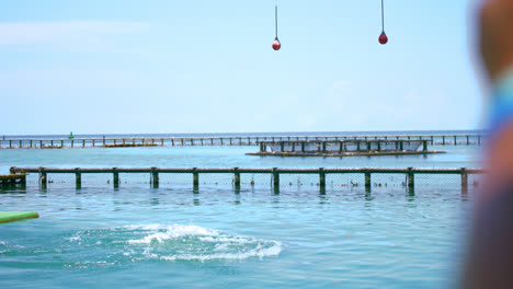 Allgemeine-Aufnahme-Von-Delfinen,-Die-Außerhalb-Des-Wassers-Springen-Und-Touristen-In-Einer-Show-In-Einem-Ozeanarium-In-Cartagena,-Kolumbien,-Unterhalten