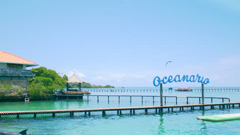 Toma-De-Establecimiento-Del-Oceanario-En-Cartagena-Colombia-Mientras-Las-Gaviotas-Vuelan-En-El-Fondo