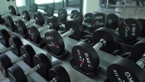 Estante-De-Metal-Lleno-De-Pesas-En-El-Gimnasio