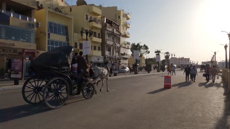 Horse-Drawn-Carriage-Going-Past-On-Road-In-Luxor