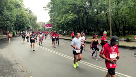 Toma-En-Cámara-Lenta-De-Un-Equipo-De-Corredores-Durante-El-Maratón-De-La-Ciudad-De-México-2022-Cruzando-El-Bosque-De-Chapultepec