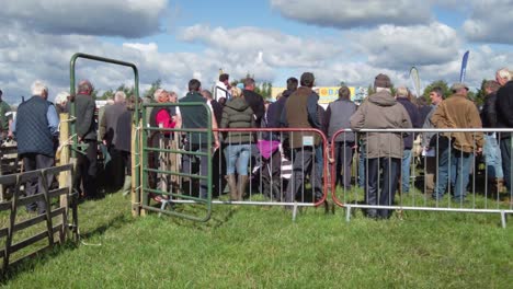 Los-Agricultores-Se-Reunieron-Alrededor-Del-Anillo-De-Subasta-Mientras-Se-Venden-Ovejas---Wombleton-En-North-Yorkshire