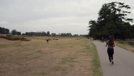 Eine-Frau,-Die-Auf-Einem-Pfad-Im-Bradgate-Park-In-England-Joggt