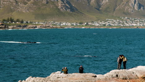 Pareja-De-Luna-De-Miel-Besándose-En-Las-Rocas,-Celebrando-La-Maravillosa-Experiencia-De-Avistamiento-De-Ballenas-En-El-Pintoresco-Hermanus