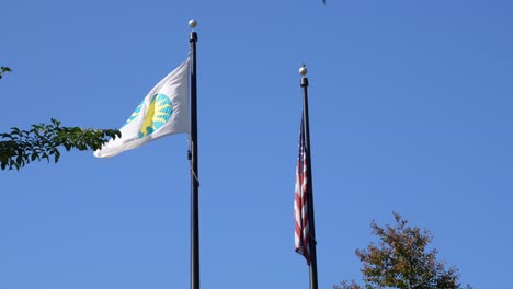 Smithsonian-Institution-flag-and-American-flag-in-Washington-DC