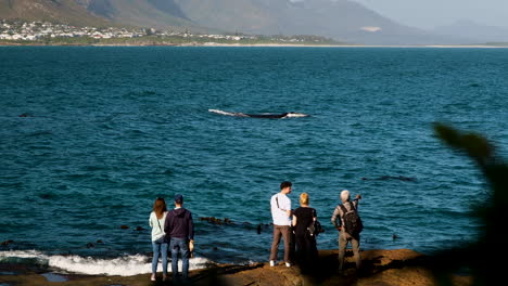 Gente-Haciendo-Avistamiento-De-Ballenas-En-Tierra-En-Hermanus,-Sudáfrica