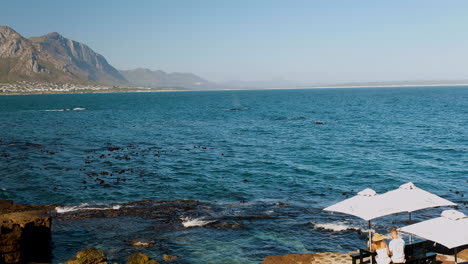 Couple-enjoys-front-row-seat---whale-watching-from-restaurant-on-rocks