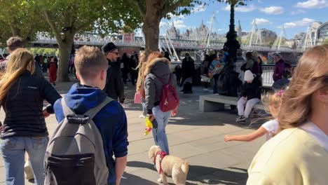 Walking-along-the-queue-to-see-the-Queen-Lying-In-State-in-London