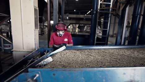 Trabajador-Inspeccionando-Granos-De-Café-Mientras-Se-Sacuden-Y-Caen-Del-Separador-De-Gravedad-En-La-Fábrica