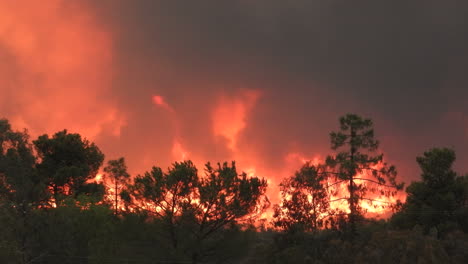 árboles-Quemar-Llamas-Incendios-Forestales-Fairview-Fuego-Naturaleza-Destrucción-Calentamiento-Global-Fumar