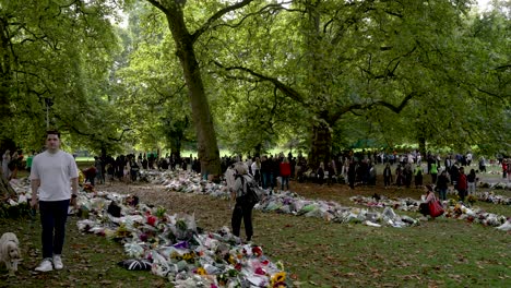 Visitors-Walking-Past-Floral-Tribute-To-Queen-Elizabeth-II-In-Green-Park-On-10-September-2022