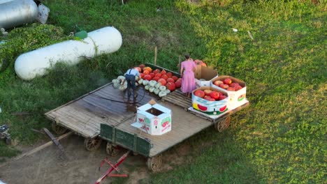 Junge-Amische-Mennoniten-Waschen-Kürbisse-Vom-Feld