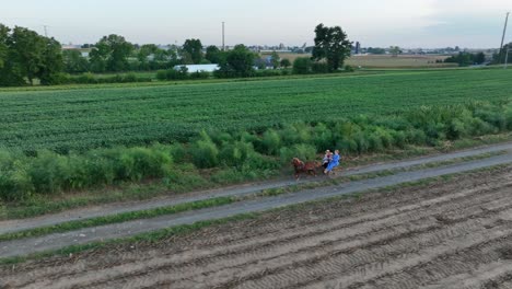 Junge-Amische-Mennonitische-Kinder-Reiten-Auf-Ponykarren-Durch-Ländliches-Ackerland-In-Lancaster-County-Pennsylvania-Usa