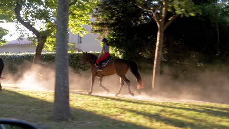 Pov-car-shot-showing-group-of-horses-galloping-by-female-equestrian-on-rural-path-in-slow-motion