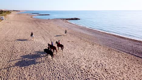 Gruppe-Von-Reitpferden-Am-Goldenen-Strand-Bei-Sonnenuntergang-In-Frankreich