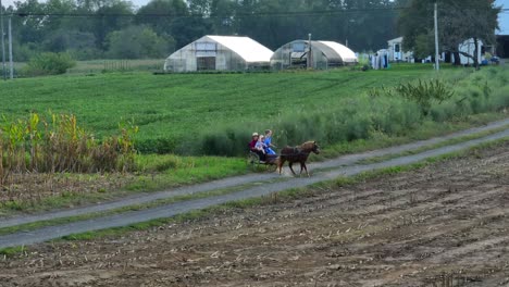 Carro-De-Pony-Con-Jóvenes-Niños-Amish-Sonríen-Ante-La-Cámara-Aérea-De-Drones