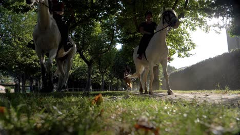 Low-angle-slow-motion-of-woman-riding-horses-in-rural-path-in-town-at-sun---close-up