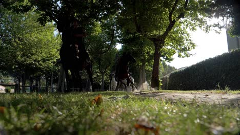 Tiro-Bajo-En-Cámara-Lenta-De-Caballos-Pasando-Y-Sobresaltándose-Y-Corriendo