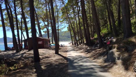 Pájaro-Gaviota-Vuela-Frente-A-La-Cámara-En-La-Zona-Boscosa-Con-árboles-Acceso-A-La-Playa-Con-Gente-Descansando,-Día-Soleado,-Tiro-Bloqueado,-Islas-Cíes,-Pontevedra,-Galicia,-España