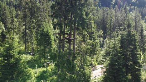 Plataforma-De-Madera-En-Lo-Alto-De-Un-Pino-Dentro-De-Voss-Zipline-Y-Parque-De-Escalada-Propiedad-De-Voss-Active---Vista-Aérea-Durante-El-Soleado-Día-De-Vacaciones-De-Verano