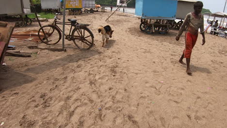 Deutscher-Reinrassiger-Hund,-Der-Durch-Das-Fischerdorf-Geht