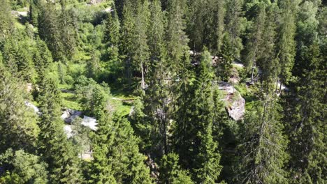 Flying-over-tall-treetops-revealing-climbing-park-at-Voss-Norway---High-rope-and-zipline-ark-by-Voss-Active-seen-from-the-air-during-summer-vacation