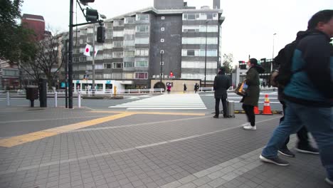 Straßenaufnahmen-Des-Ginza-Viertels-In-Tokio-An-Einem-Autofreien-Wochenende,-Tokio