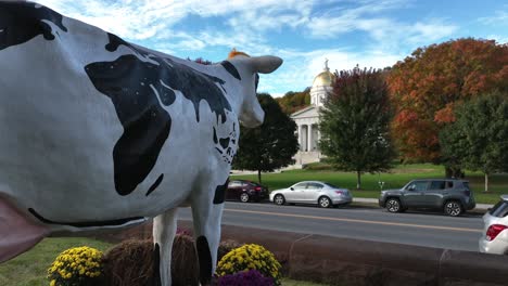 Estatua-De-Vaca-Frente-A-La-Casa-Del-Estado-De-Vermont