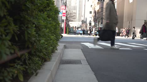 Straßenaufnahmen-Des-Ginza-Viertels-In-Tokio-An-Einem-Autofreien-Wochenende,-Tokio