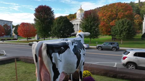 Revelación-Aérea-Ascendente-Del-Capitolio-Del-Estado-De-Vermont-Detrás-De-La-Escultura-De-La-Vaca-Holstein