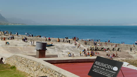 Lugareños-En-Hermanus-Old-Harbour-Avistamiento-De-Ballenas-Durante-El-Festival-De-Ballenas