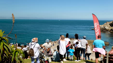 Turistas-En-Acantilados-Avistamiento-De-Ballenas-Con-Bote-De-Ballenas-En-El-Fondo,-Hermanus