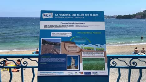 Informationstafel-Am-Strand-Von-Ameisen-Mit-Schwimmenden-Menschen-Im-Hintergrund