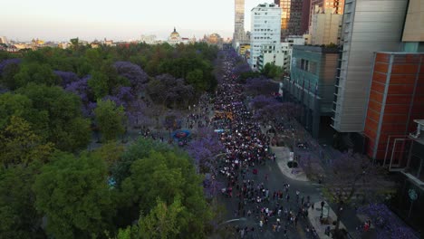 Vista-Aérea-Con-Vistas-A-Las-Mujeres-Marchando-En-Protesta-Por-El-Aumento-De-Los-Crímenes-De-Odio-Contra-Las-Mujeres-En-La-Ciudad-De-México