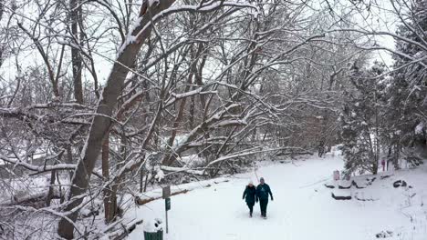 Toma-Aérea-De-Una-Pareja-Mayor-Caminando-Por-Un-Parque-Cubierto-De-Nieve