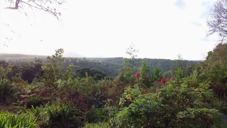 Mirador-Romántico-Para-Mochileros-En-El-Espíritu-Salvaje-En-El-Valle-De-La-Naturaleza