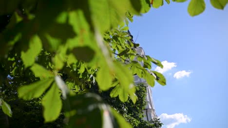 The-Catholic-Church-behind-the-Chestnut-Tree