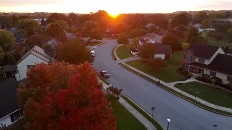 Colorful-fall-leaves-in-autumn