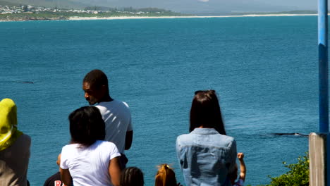 South-African-locals-watching-whales-in-coastal-waters-of-Hermanus